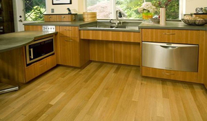 an accessible universal design kitchen for aging in place in Austin